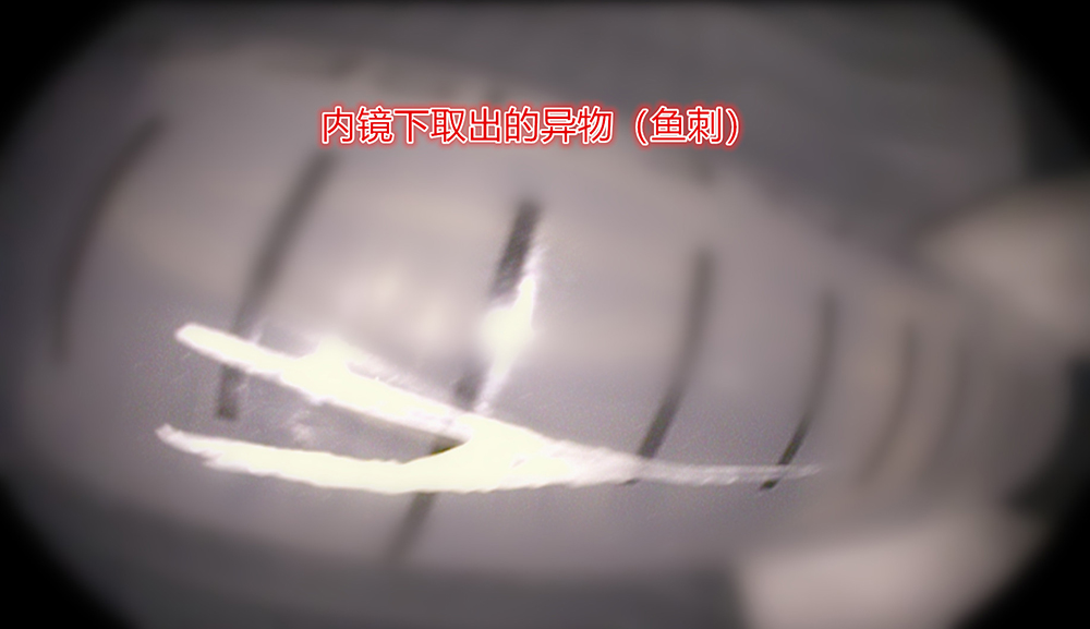 000002_����.jpg