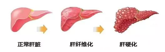 �ʶ�����(�й���) - �ٷ���վ
